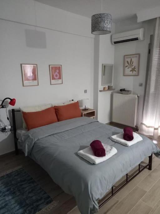 Vagelishome Komotini